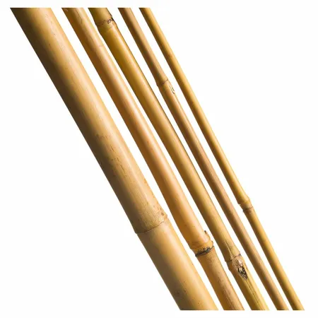 Bamboestok H150Cm (4 St.) - afbeelding 1