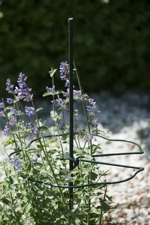 Centr. Plantensteun Schulp Ø40Cm - afbeelding 3