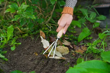 Handklauw Houten Handvat - afbeelding 2