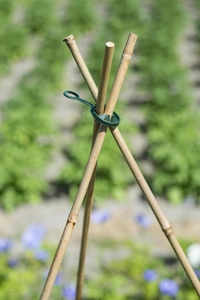 Kunstst.Ring Plantstok Ø8Mm(10St.) - afbeelding 2