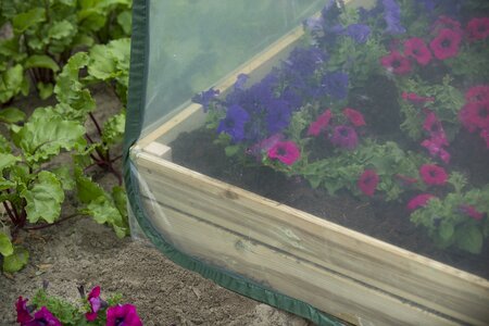 Transparante hoes voor vierkante meter tuin