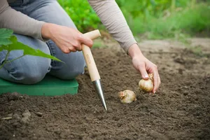 Pootstok Met Houten Kruksteel - afbeelding 2