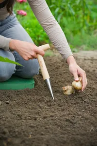 Pootstok Met Houten Kruksteel - afbeelding 3