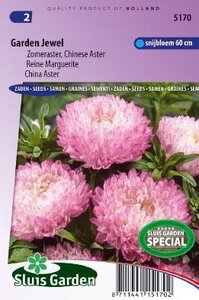 Aster chinensis - Garden Jewel zaad bloemzaden