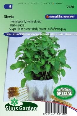 Garden Stevia of Honingplant zaad, kruidenzaden kopen? - | Het grootste online tuincentrum met Tuinartikelen én Planten.